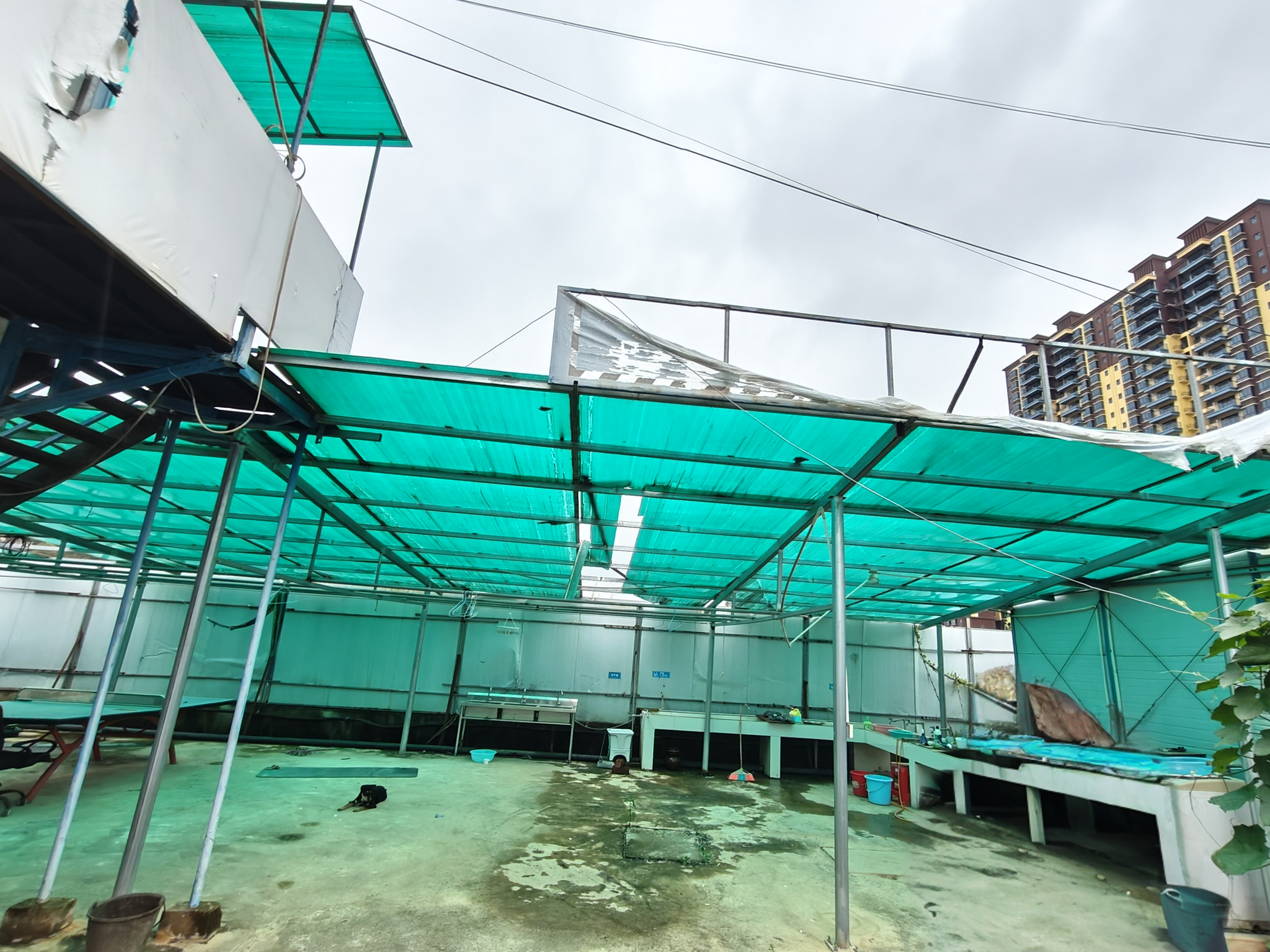 武汉合利源建筑工程有限公司_工地活动板房_岩棉板净化板夹芯板